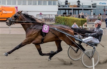 Dansk fiasko ved VM i trav