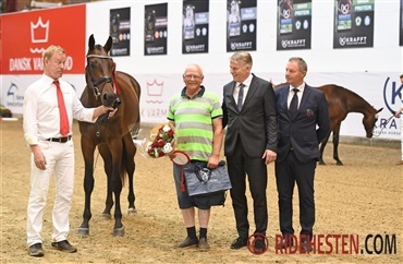 Feldborgs Cantonelli bedste 2 &aring;rs springhoppe