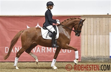 Seks velfortjente guldmedaljer(Video)