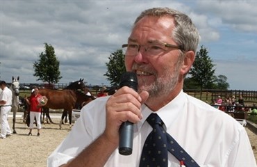 Hingste gennem 35 &aring;r i Viborg