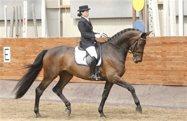 Sydjysk Mesterskab 2010