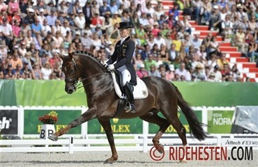 Usikker fremtid for Damon Hill