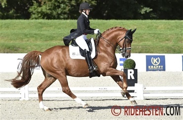 Nervepirrende DM venter ved Equitour