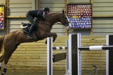 WebTV: Kursus om springhesten