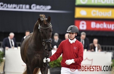 Lyst til at vide mere om k&aring;ring og m&oslash;nstring?