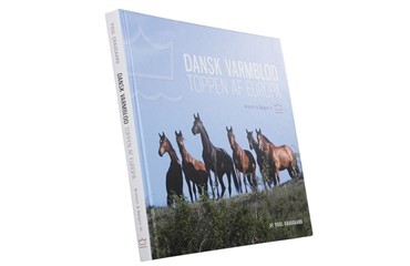 Alle tiders julegave til hestefolket