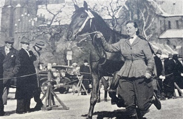1958: En hippologisk tidsrejse