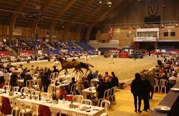 Billetter til Eliteskuet og Youngster Cup - forudbestil her