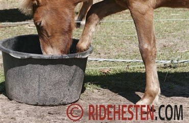 Problemer med vandet?