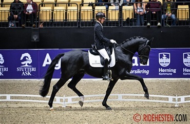 Alexander og Furious suver&aelig;ne i 4-&aring;rs championat