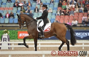Molberg trukket fra World Cup-finalen