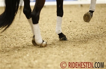 S&aring; skal der piafferes