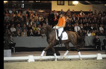 Global Dressage Forum