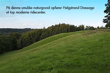 Helgstrand Dressage p&aring; tegnebr&aelig;ttet