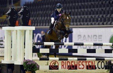 DSP-hingst med succes i Oslo
