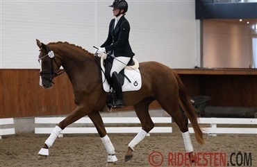 Vidne frifundet i omtalt sag om grov ridning