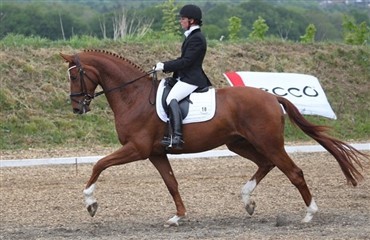Championaterne skudt i gang i Aabenraa