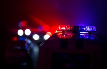 Flere heste p&aring;k&oslash;rt p&aring; motorvej