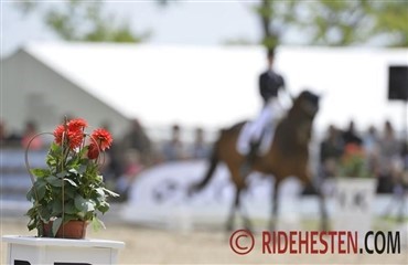 Klar til Dressurens Venner Cup