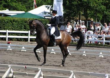 Topryttere dyster i Holte