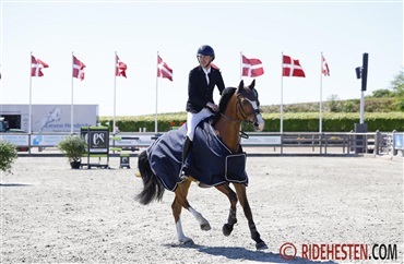 – Carlton er virkelig en skarp hest