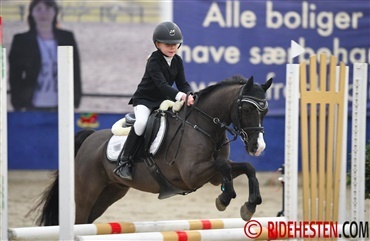 Ponysporten er ikke helt d&oslash;d