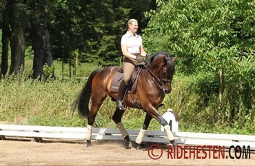 Rid versade med Hasse Hoffmann