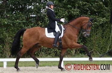 God dansk indsats i Compiègne