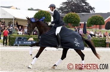 Vinderne i Blue Hors Championat er fundet