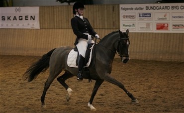 Dansk ponydressur succesfuld i Frankrig