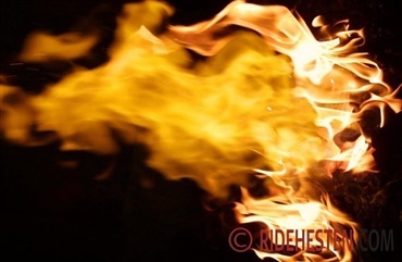 To heste br&aelig;ndt inde i lade