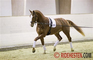 Kan man longere sin hjerne?