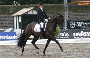 Rikke Lindberg k&oslash;ber hingsten Rodrigo