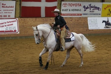 Dansk deltagelse ved World Reining Masters 2008