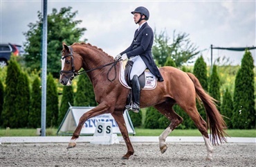 Fra elitef&oslash;lauktion til sejr i FEI 7-&aring;rs klasse