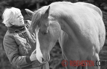 Aktiv i ridesporten efter de 70