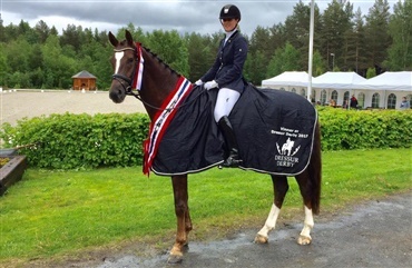 DV-heste til Falsterbo for Norge