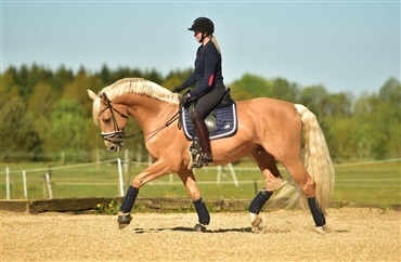 Ridning er verdens bedste sport