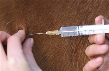 Hvorn&aring;r og hvorfor skal man p&aring; medicinh&aring;ndteringskursus?
