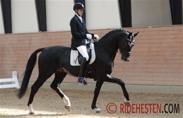 M&oslash;lleg&aring;rdens Kabaret sl&aring;r til igen