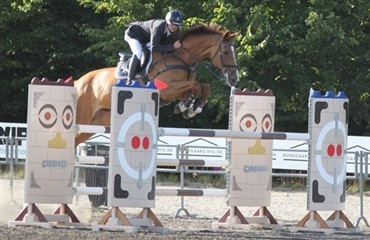 First Horse Pony DM: Springning for heste 