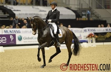 Indbrud hos Patrick van der Meer