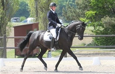 Holte Rideklub vinder Dressurens Venner Cup