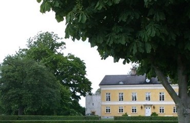 Dansk isl&aelig;t p&aring; Flyinge