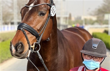 Hestene er igennem vettjek i Doha