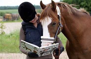 10. klasse med speciale i heste og ridning 