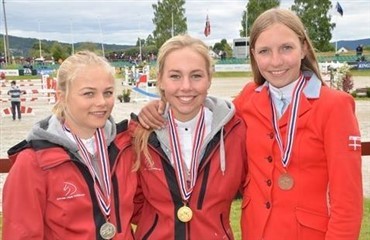 Nordisk guld til kat. I-ekvipagerne