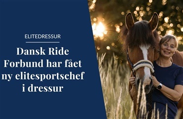 DRF har ansat en ny elitesportschef i dressur