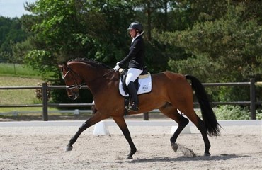 De rider i Hvals&oslash;