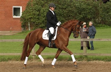 Egnethedstest i Region 6